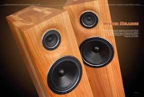 Lautsprecherboxen aus Massivholz 